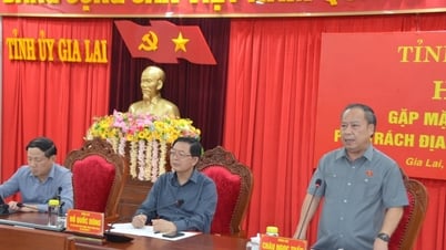 Đồng chí Châu Ngọc Tuấn được giao nhiệm vụ phụ trách tỉnh...