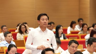 Hà Nội: Chợ “cóc” tồn tại thuộc trách nhiệm của chính quyền cấp xã