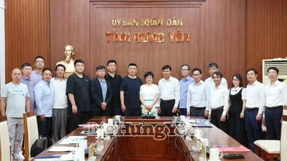 Phó Chủ tịch UBND tỉnh Nguyễn Lê Huy tiếp và làm việc với doanh nghiệp Trung Quốc