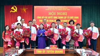Công bố các quyết định thành lập tổ chức Đảng trực thuộc Đảng bộ các cơ quan Đảng tỉnh