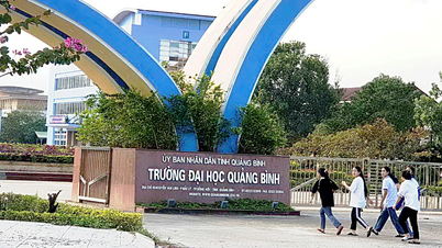 Nhiều trường đại học, cao đẳng hợp nhất, đổi tên sau sáp nhập tỉnh