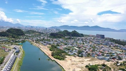 Da Nang lève les obstacles pour aider le projet à redémarrer