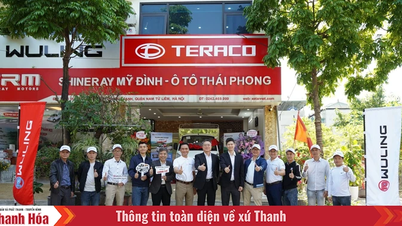 Ô tô Thái Phong: Chuyên cung cấp xe tải nhỏ chất lượng, giá cạnh tranh