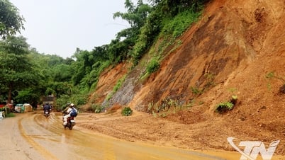 Chủ động ứng phó với mưa lớn kèm dông, lốc, sét