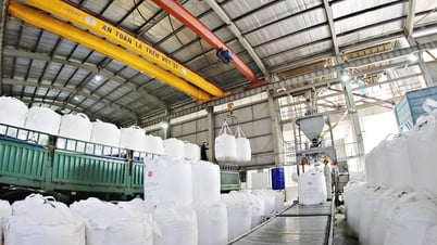 Kinh tế Lâm Đồng tiếp tục tăng tốc