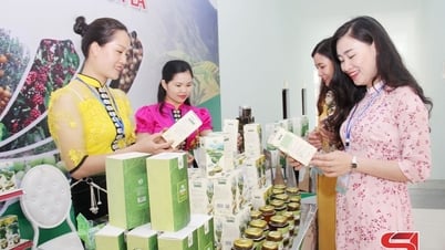 Xây dựng bao bì, nhãn mác để khẳng định giá trị sản phẩm