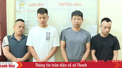 Đấu tranh với tội phạm đánh bạc trên không gian mạng