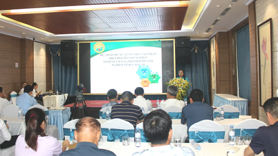 Hiệp hội doanh nghiệp Yên Bái và Lào Cai triển khai hoạt động sáp nhập