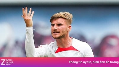 Timo Werner bị 'cấm cửa'