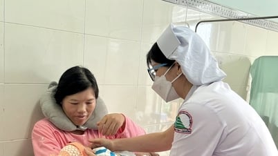 Thành lập Chi cục Dân số tỉnh Lâm Đồng
