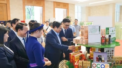 Hành trình "5 sao" của miến dong Bình Liêu