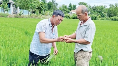 Động lực từ gương nông dân sản xuất, kinh doanh giỏi