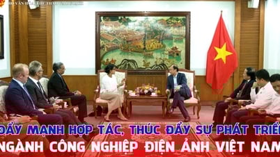 Strengthening cooperation and promoting the development of Vietnam's film industry