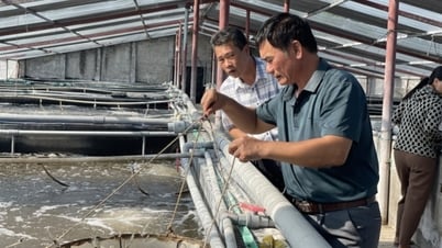 Nông dân vươn lên làm giàu