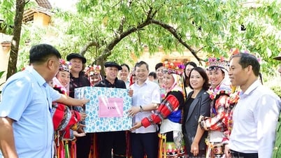 Đồng chí Chủ tịch HĐND tỉnh Nguyễn Văn Sơn thăm và làm việc tại Lũng Cú