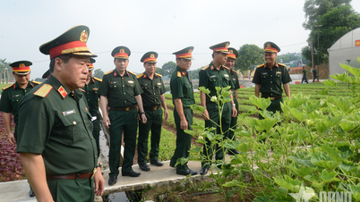 Binh chủng Công binh: Triển khai toàn diện, bảo đảm hậu cần kịp thời cho các nhiệm vụ SSCĐ thường xuyên và đột xuất