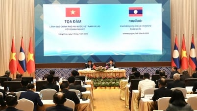 Hợp tác đầu tư Việt Nam - Lào phấn đấu sớm cán mốc 5 tỷ USD