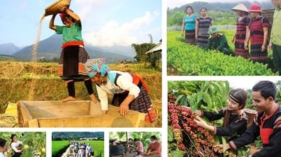 Thực hiện các chương trình mục tiêu quốc gia đồng bộ với mô hình chính quyền địa phương hai cấp