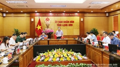 Tập trung triển khai đồng bộ các nhiệm vụ để thúc đẩy phát triển khu kinh tế cửa khẩu