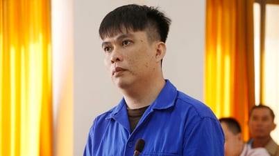 Lạm dụng tín nhiệm chiếm đoạt tài sản, lãnh 7 năm tù