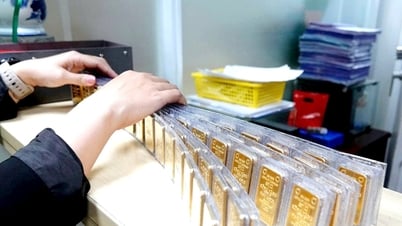 Dự báo giá vàng ngày mai 10/7/2025 sau đợt rơi tự do, nhà đầu tư có nên "ôm mộng vàng son"?