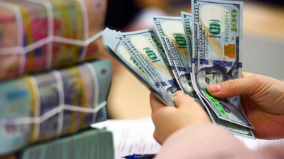 Tỷ giá VND/USD tăng kỷ lục dù USD suy yếu