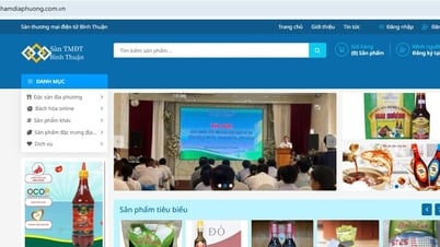 Hỗ trợ doanh nghiệp tham gia sàn thương mại điện tử