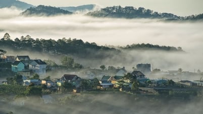 Gợi ý lịch trình 1 ngày ở Đà Lạt: Một ngày sống ảo ‘cháy máy’ tại thành phố ngàn hoa
