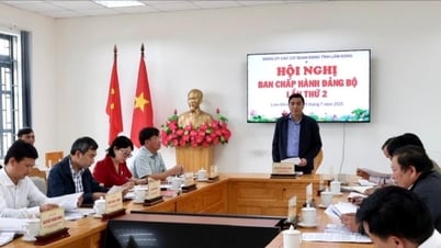 Ban Chấp hành Đảng bộ Các cơ quan Đảng tỉnh thảo luận, thống nhất cao nhiều nội dung thuộc thẩm quyền