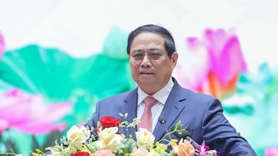 Thủ tướng yêu cầu tập trung đào tạo, bồi dưỡng chỉ huy trưởng quân sự