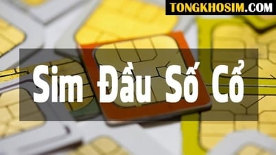 Chọn mua đầu số cổ tại tongkhosim.com - An toàn, chính chủ