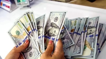 Tỷ giá USD hôm nay (9-7): Đồng USD tăng nhẹ