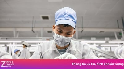 Apple tuyển dụng kỷ lục ở Việt Nam, đang tìm hơn 60 vị trí