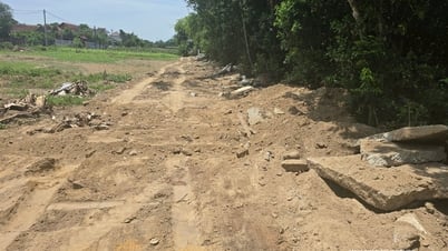 Đã tháo dỡ xong toàn bộ con đường bê tông dài 90 mét 'mọc' lên trên đất nông nghiệp chỉ sau 1 đêm ở Nghệ An