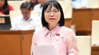 ĐBQH. Nguyễn Thị Việt Nga: Sáp nhập đơn vị hành chính cấp tỉnh – bước đi chiến lược thể hiện tầm nhìn cải cách