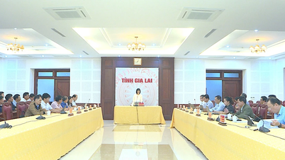 Phó Chủ tịch UBND tỉnh Nguyễn Thị Thanh Lịch chủ trì cuộc họp về bố trí bộ phận thường trực các cơ quan chuyên môn thuộc UBND tỉnh tại cơ sở 2