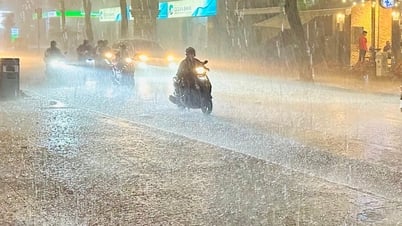 Dự báo mưa lớn trên địa bàn tỉnh Tuyên Quang