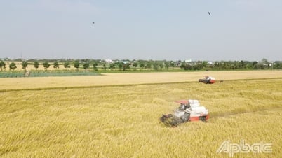 Ngành Nông nghiệp tỉnh Đồng Tháp: Phấn đấu hoàn thành chỉ tiêu tăng trưởng năm 2025
