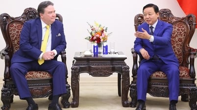 Phó Thủ tướng Trần Hồng Hà tiếp xã giao Đại sứ Hoa Kỳ tại Việt Nam