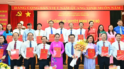 Genosse Nguyen Thanh Nghi ist Sekretär des Parteikomitees der Parteiagenturen von Ho-Chi-Minh-Stadt.