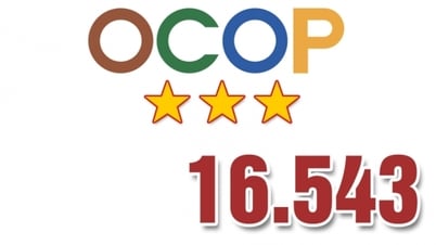 16.543 - là tổng số sản phẩm OCOP đạt từ 3 sao trở lên của cả nước