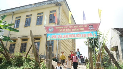 HĐND tỉnh Nghệ An đề xuất định hướng sắp xếp, quy hoạch mạng lưới trường lớp