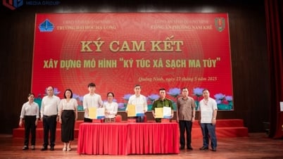 Hệ lụy của ma túy đối với giới trẻ