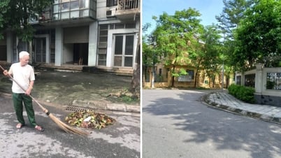 Người lính cụ Hồ và 19 năm hành trình xanh thầm lặng