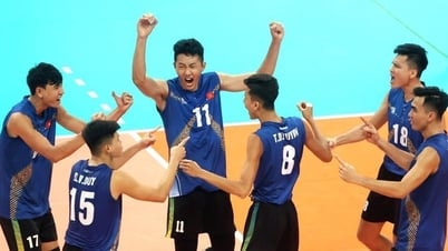 Lịch thi đấu bóng chuyền nam SEA V.League 2025 mới nhất