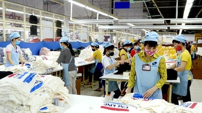 Quan tâm giải quyết việc làm cho người lao động
