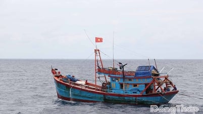 Đồng Tháp chủ động ứng phó gió mạnh, sóng lớn và mưa dông trên biển