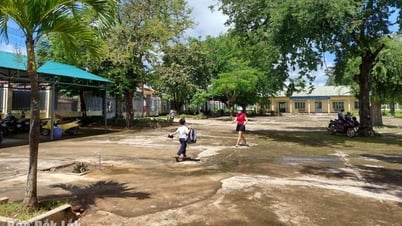 Đề xuất đầu tư xây dựng 4 trường phổ thông nội trú liên cấp tại 4 xã biên giới