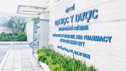 Hơn 300 thí sinh không đạt ngưỡng được cộng điểm xét tuyển Trường ĐH Y dược TP.HCM