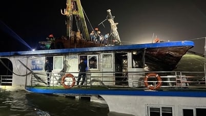 23,4 tỷ đồng bảo hiểm bồi thường vụ lật tàu Vịnh Xanh 58
